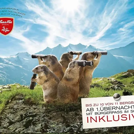 Helvetia Appartement-fewo 3-zimmerwohnung Nr- 1 By Interhome * Saas-Fee